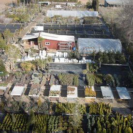 centros de jardinería en Madrid